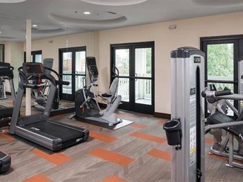 A gym with treadmills, elliptical machines, and other exercise equipment.